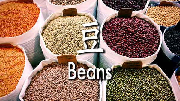 豆(Beans)